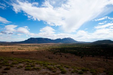 Flinders Ranges - Avustralya Pugilist Hill Gözcüsü