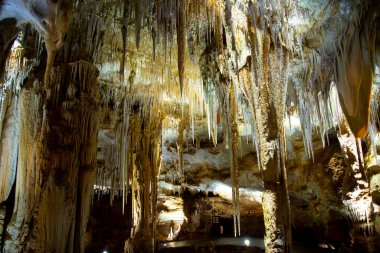 Tantanoola Mağaraları - Güney Avustralya