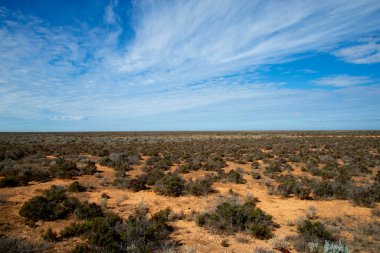 Nullarbor Ovası - Güney Avustralya