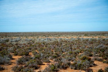 Nullarbor Ovası - Güney Avustralya