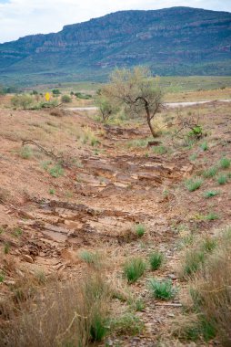 Brachina Formasyon Şeyli - Çakmaktaşlar Aralığı - Avustralya