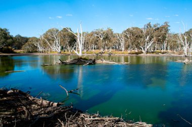 Duck Lagoon - Kanguru Adası - Avustralya