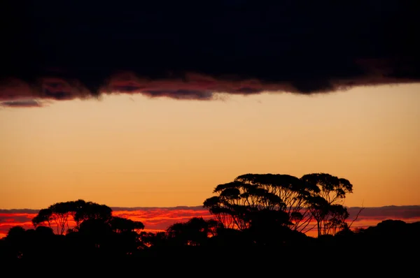 Закат Глубинке Австралия — стоковое фото