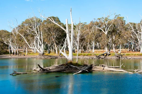 Duck Lagoon Kangaroo Island Australië — Stockfoto