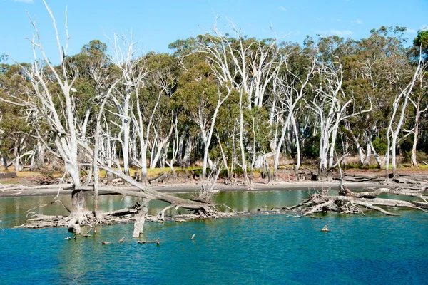Duck Lagoon Kangaroo Island Australië — Stockfoto