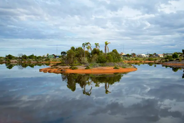 Humedales Whyalla Australia Meridional — Foto de Stock