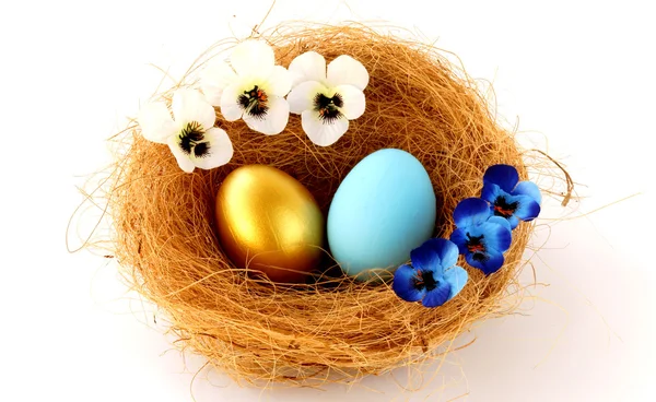 Gold and blue eggs in the nest — Stock Photo, Image