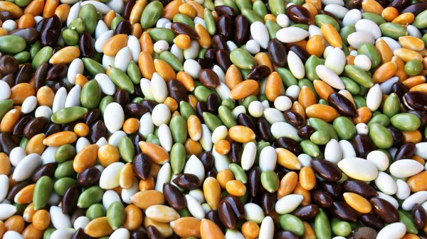 Núcleo de sementes de girassol — Fotografia de Stock