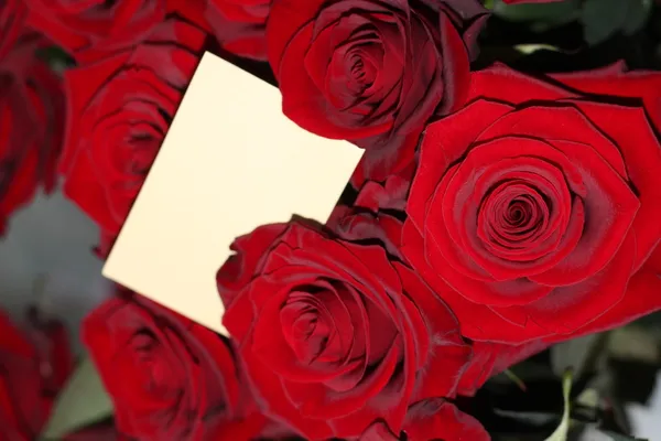 Rosas rojas con una etiqueta de regalo en blanco . —  Fotos de Stock