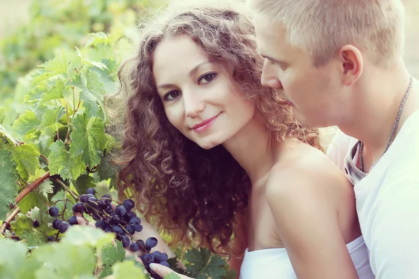 Couple in vineyards — Stock fotografie