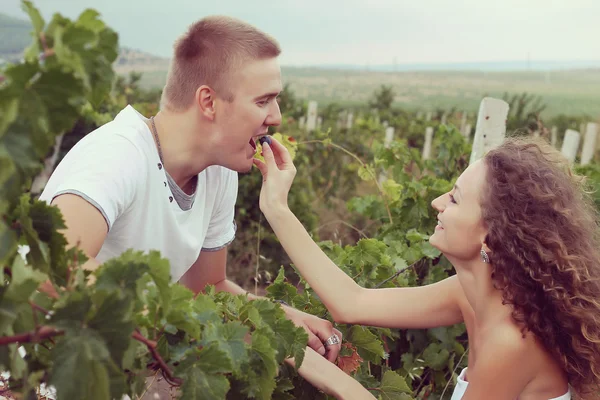 Casal em vinhas — Fotografia de Stock