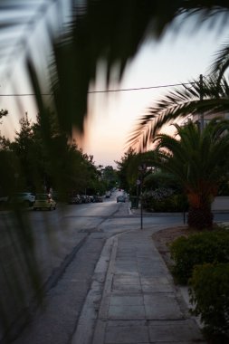 Parkın güzel manzarası