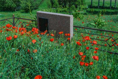 Tombstone in a field with natural scarlet poppies. Empty space for recording.