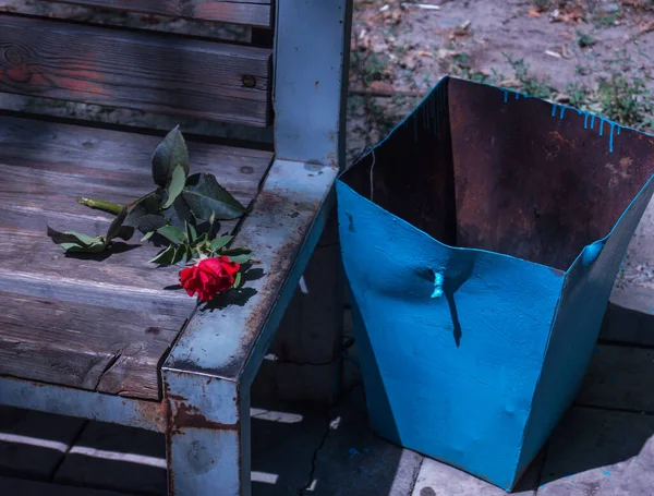 Rose Flower Bench Next Trash Can Symbol Unhappy Love — Stockfoto