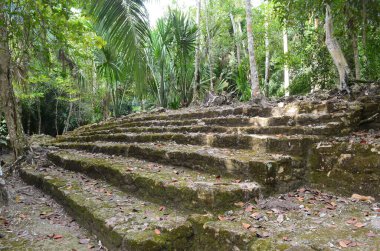 Yucatan yarımadasında bir basamak piramit 