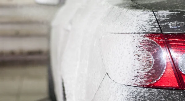 Меньшиков қос жынысты