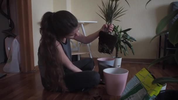 La niña trasplanta la planta — Vídeo de stock