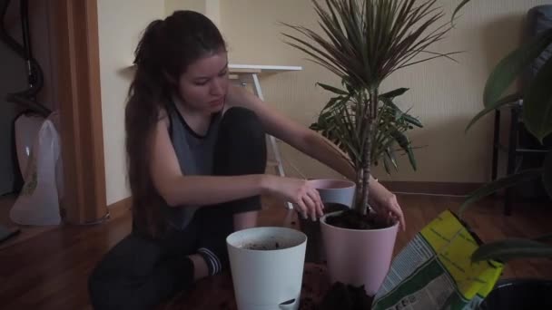 The girl transplants the plant — Stock Video