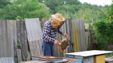 Topraklarında çalışan arıcı.