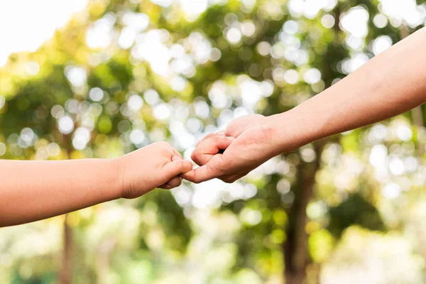 Father Holding Son Hand Public Garden Royalty Free Stock Images