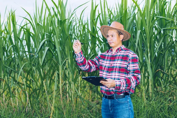 Asiatisk Bonde Rutig Skjorta Står Ett Fält — Stockfoto