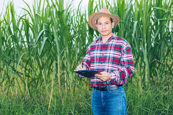 Azjatycki Farmer Koszuli Kratę Stoi Polu — Zdjęcie stockowe