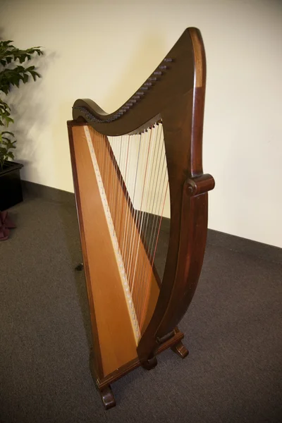 Harp — Stock Photo, Image