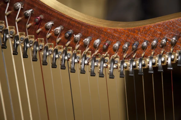 Harfa detal Zdjęcia Stockowe bez tantiem