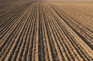 Plough agriculture field before sowing clipart
