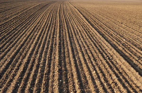 Campo agrícola de arado antes da semeadura — Fotografia de Stock