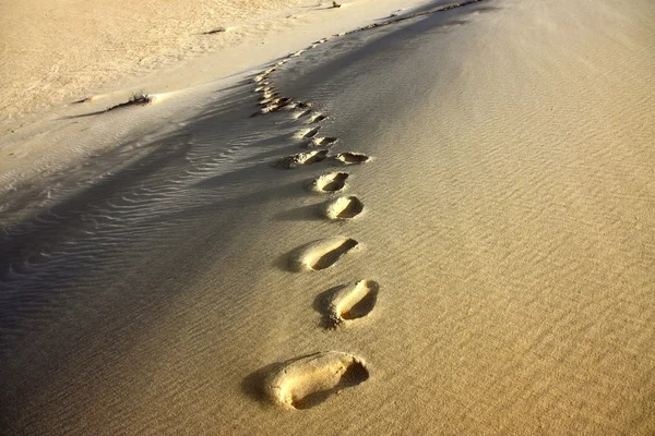 Foot print in the sandy dunes — Stock Photo, Image