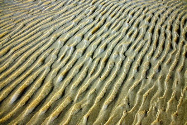 Carved lines in the sand — Stock Photo, Image