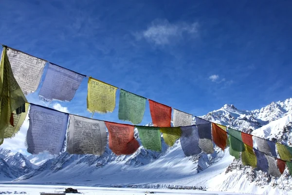 Be buddhistiska flaggan i Himalaya — Stockfoto