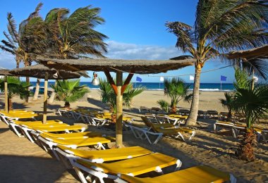 palmiye altında plaj şezlong