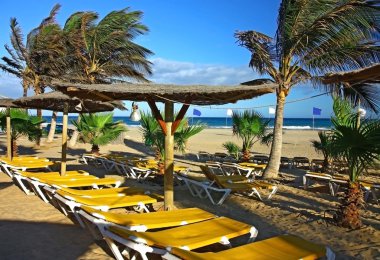 palmiye altında plaj şezlong