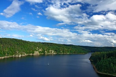 Avrupa peyzaj göl ve orman