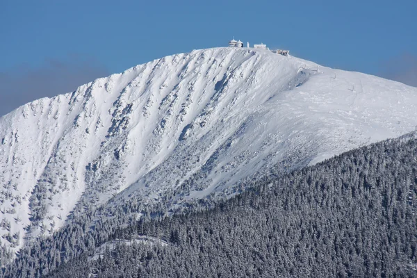 Detalj av det högsta berget i Tjeckien under vintern — Stockfoto