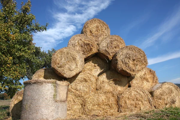 Stacked golden round hay bale under blue sky — Stock Photo, Image