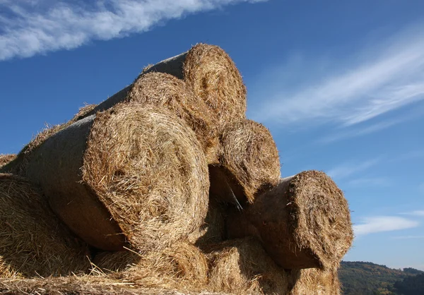 Bale of hay under blu sky — Stock Photo, Image