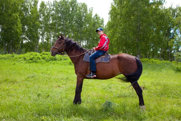 Boy on a horse — Stock Photo, Image