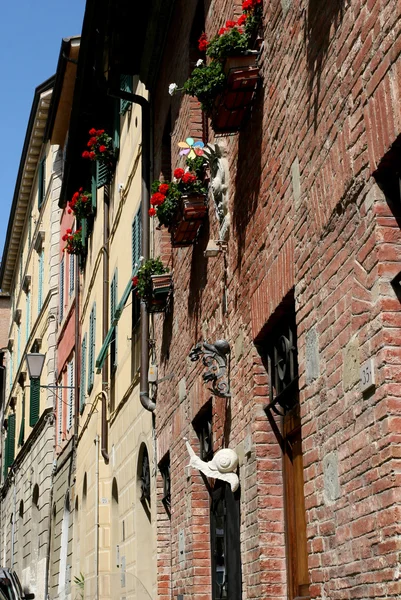 Caracoles del distrito de Sienna — Foto de Stock