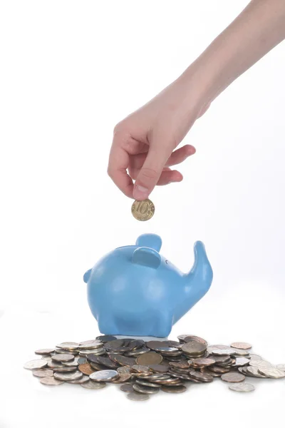 Hand puts a coin in a piggy bank — Stock Photo, Image