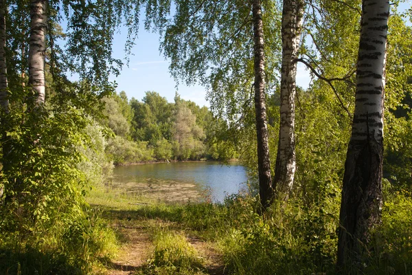Rossiya.Sibir. yaz. gölet