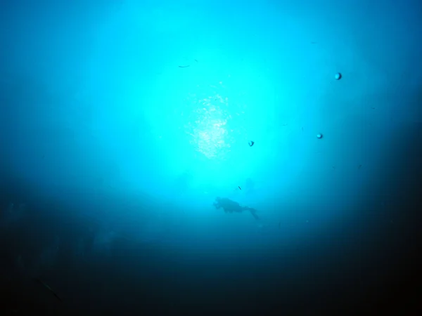 潜水员在蓝色 — 图库照片