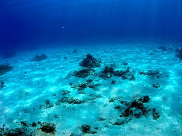 海底 — ストック写真
