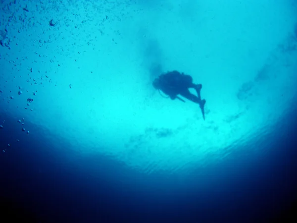 Diver in Miyako — Stock Photo, Image