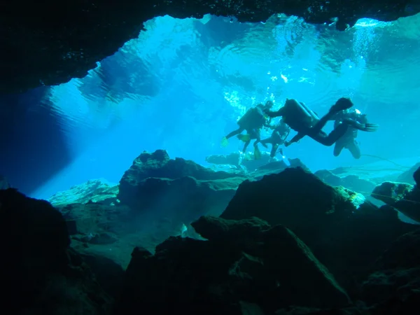 Cenote — Stock Photo, Image