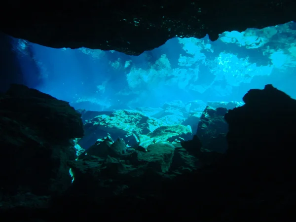 Cenote — Stock Photo, Image