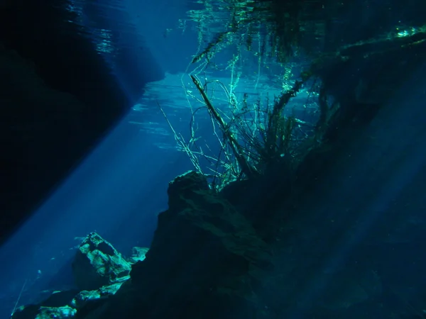 Cenote — Stok Foto