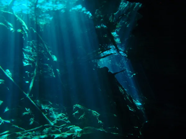 Cenote — Fotografia de Stock